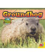 Groundhog