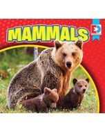 Mammals