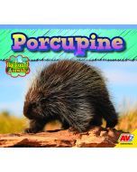 Porcupine