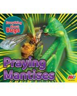 Praying Mantises