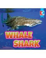 Whale Shark