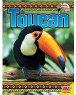 Toucan