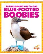 Blue-Footed Boobies