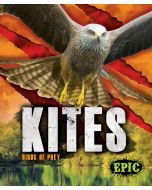 Kites