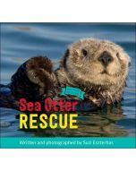 Sea Otter Rescue