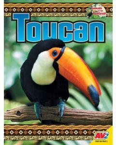 Toucan