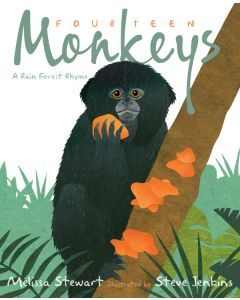 Fourteen Monkeys: A Rain Forest Rhyme