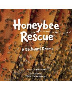 Honeybee Rescue: A Backyard Drama