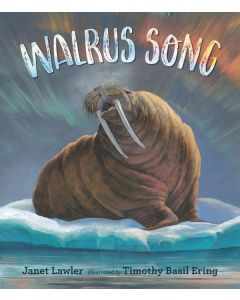 Walrus Song