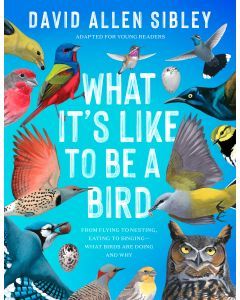 What It's Like to Be a Bird (Adapted for Young Readers): From Flying to Nesting, Eating to Singing--What Birds Are Doing, and Why