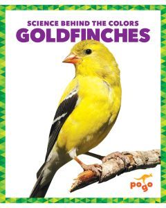 Goldfinches